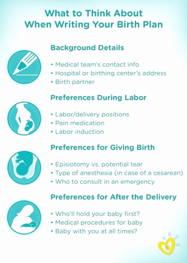 Birth Plan Template Pdf Elegant Birth Plan Template Examples and Preferences