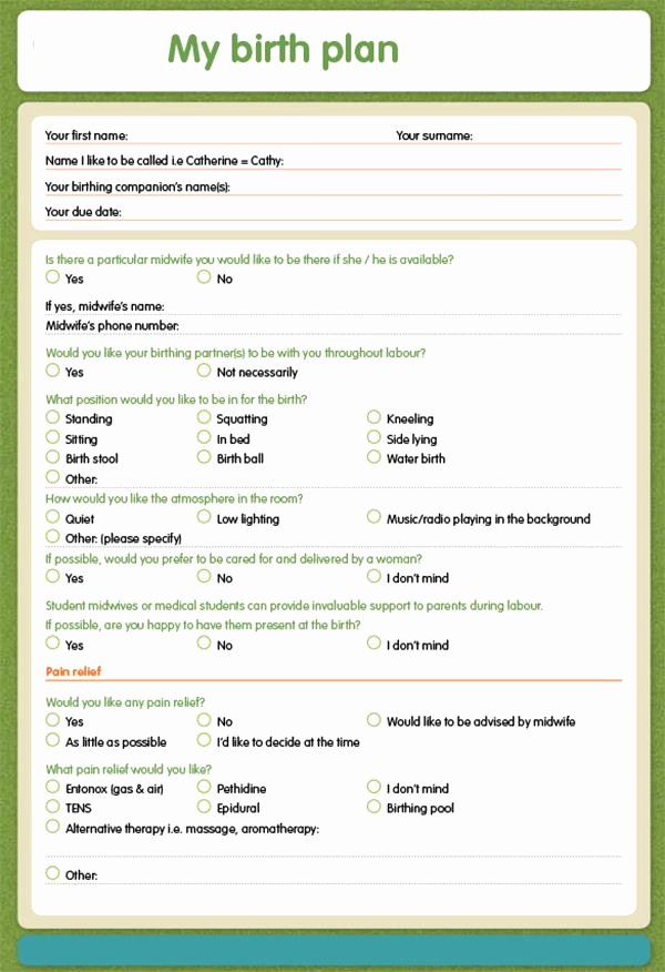 Birth Plan Template Pdf Lovely 25 Best Ideas About Birth Plans On Pinterest