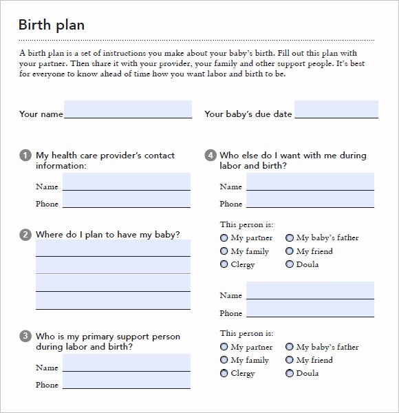 Birth Plan Template Pdf New Free 10 Birth Plan Templates In Free Samples Examples