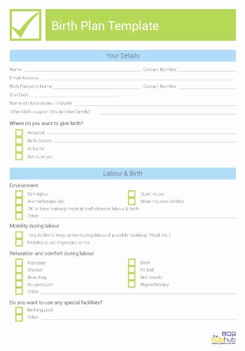 Birth Plan Template Word Doc Awesome Birth Plan Template