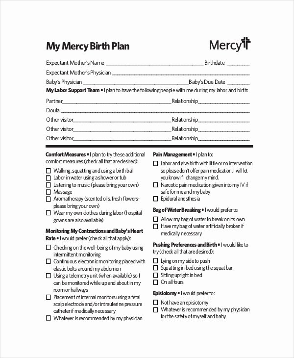 Birth Plan Template Word Doc Best Of Birth Plan Template 11 Free Word Pdf Documents