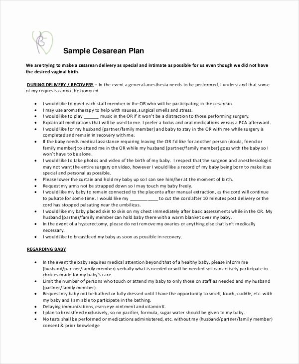 Birth Plan Template Word Doc Best Of Birth Plan Template – 15 Free Word Pdf Documents