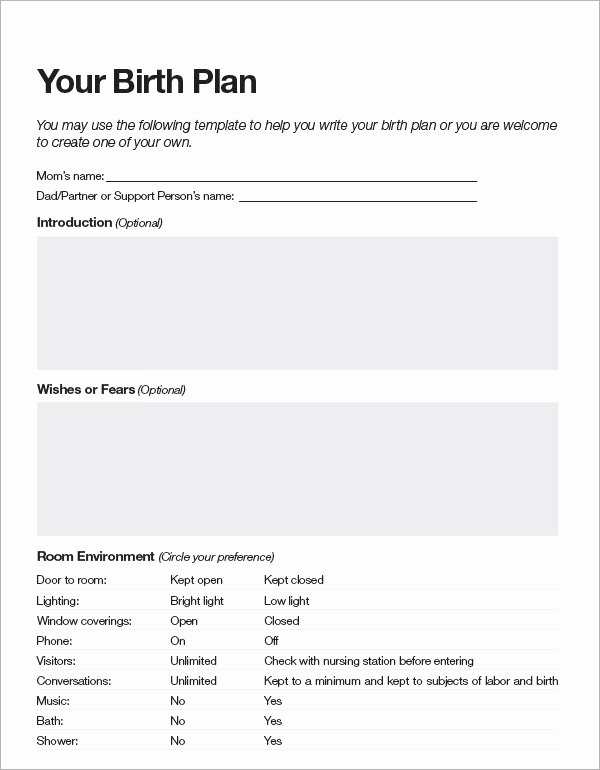 Birth Plan Template Word Doc Best Of Birth Plan Template 20 Download Free Documents In Pdf Word