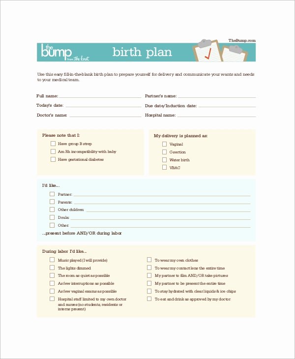 Birth Plan Template Word Doc Elegant Birth Plan Example 11 Samples In Word Pdf