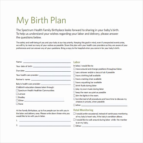 Birth Plan Template Word Doc Elegant Birth Plan Preferences Template Babies