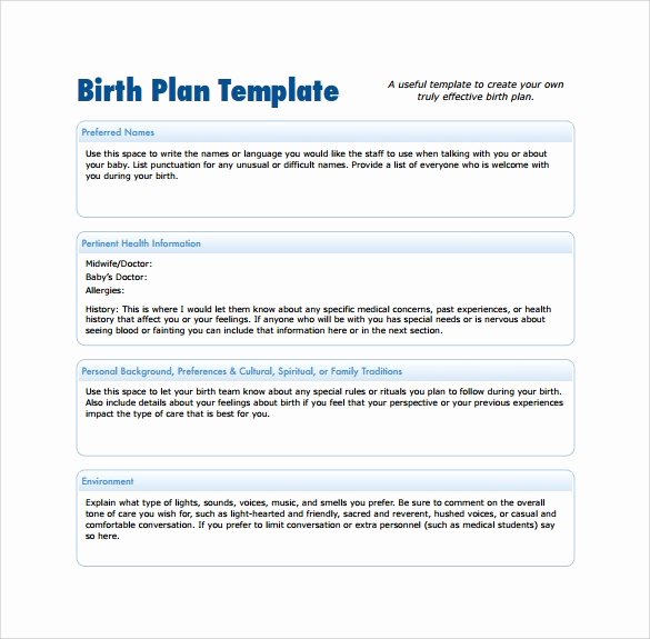 Birth Plan Template Word Doc Inspirational Birth Plan Template 20 Download Free Documents In Pdf Word