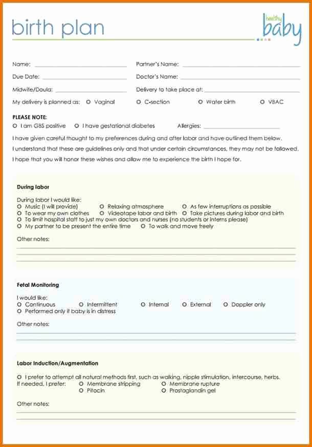 Birth Plan Template Word Doc Luxury Birth Plan Template 20 Download Free Documents In Pdf