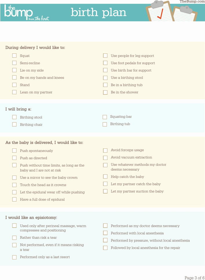 40 Birth Plan Template Word Doc Markmeckler Template Design