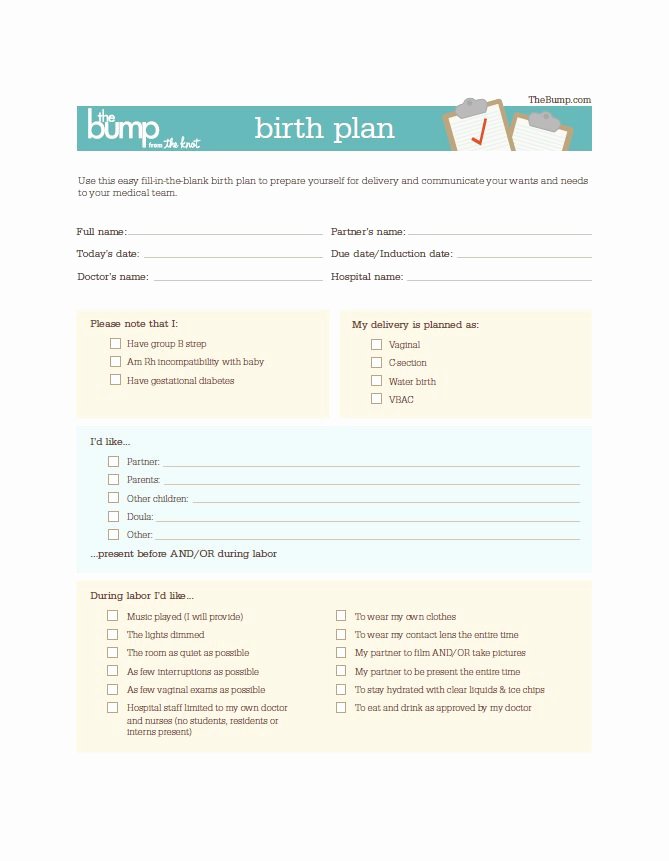 Birth Plan Template Word Elegant 47 Printable Birth Plan Templates [birth Plan Checklist