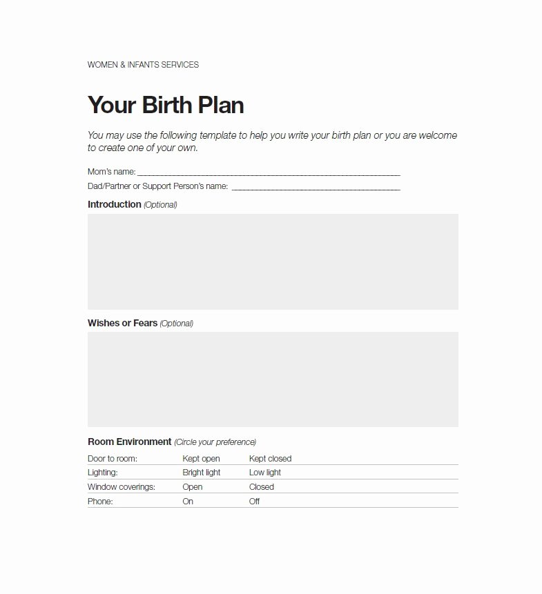 Birth Plan Template Word Fresh 47 Printable Birth Plan Templates [birth Plan Checklist