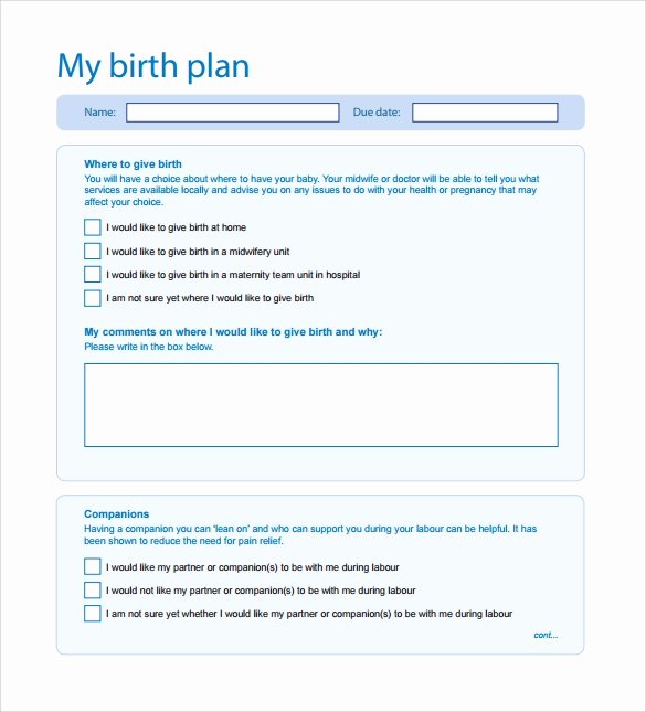 Birth Plan Template Word Fresh Birth Plan Template 20 Download Free Documents In Pdf Word
