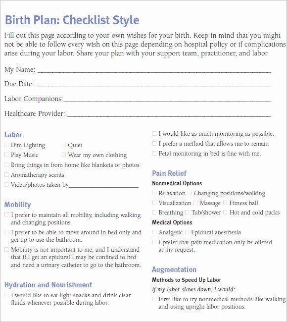 Birth Plan Template Word Fresh Free 10 Birth Plan Templates In Free Samples Examples