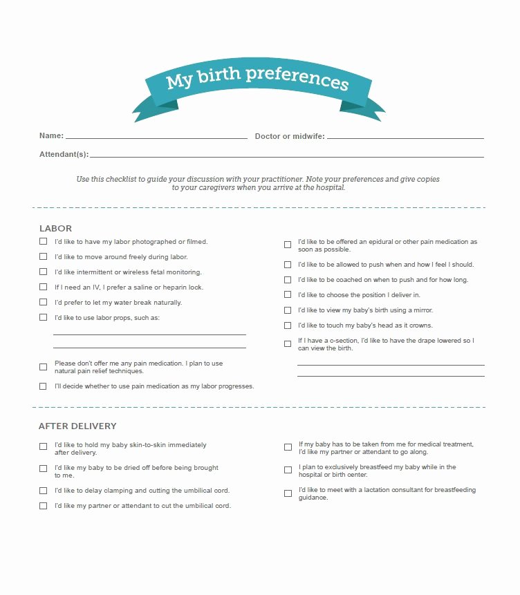 Birth Plan Template Word Lovely 47 Printable Birth Plan Templates [birth Plan Checklist