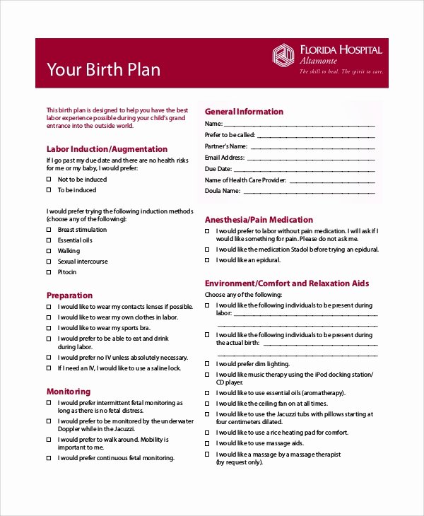 Birth Plan Template Word Luxury Birth Plan Example 11 Samples In Word Pdf