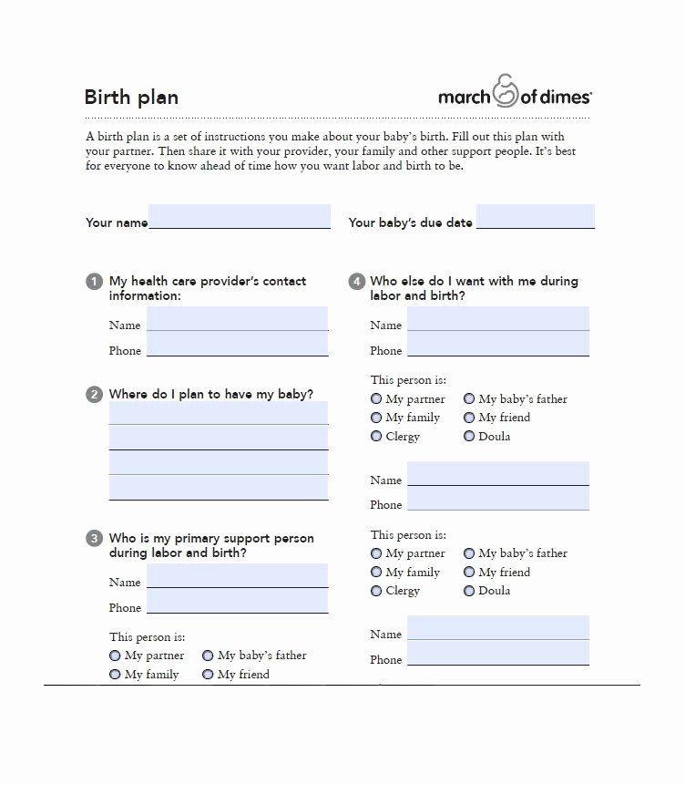 Birth Plan Template Word New 47 Printable Birth Plan Templates [birth Plan Checklist