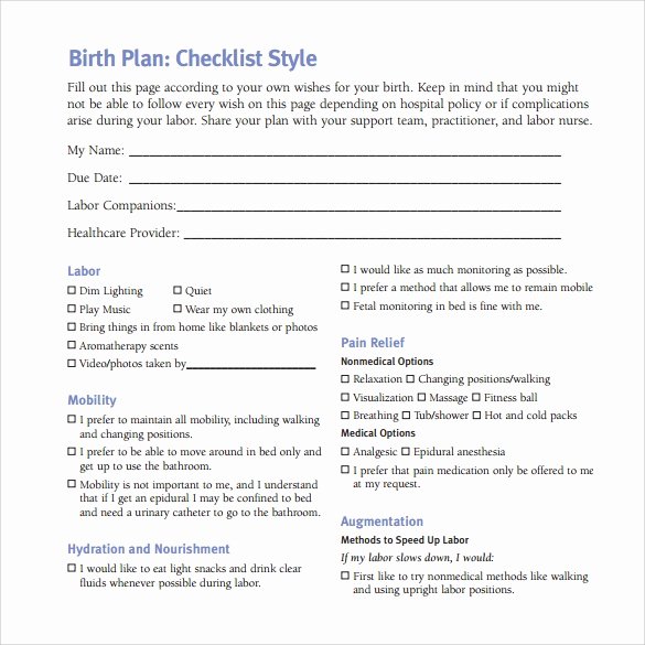 Birth Plan Template Word New Free 23 Sample Birth Plan Templates In Pdf Word