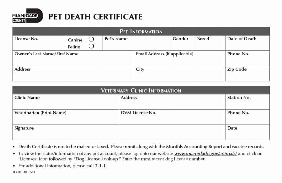 Blank Death Certificate Template Awesome 37 Blank Death Certificate Templates [ Free]