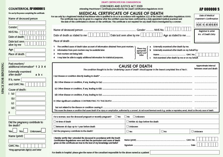 Blank Death Certificate Template Best Of 37 Blank Death Certificate Templates [ Free]