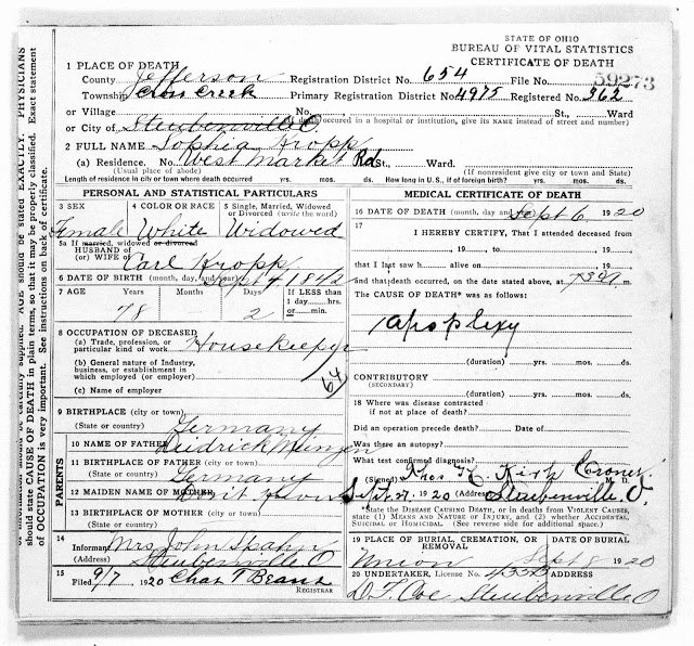 Blank Death Certificate Template Fresh 24 Of Ohio Ficial Death Certificate Template