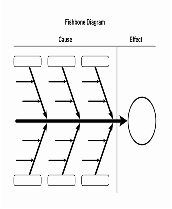 Blank Fishbone Diagram Template Lovely Diagram Template – 18 Free Word Pdf Documents Download