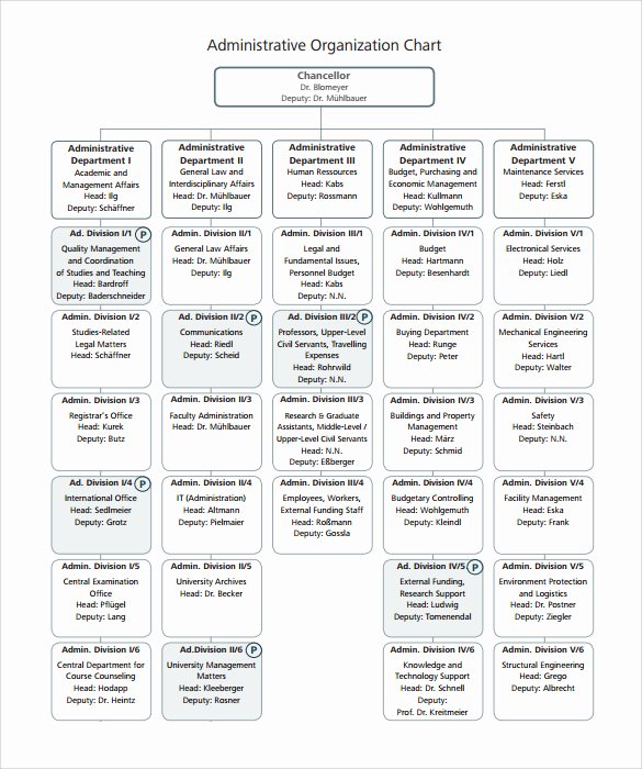 Blank organizational Chart Template Awesome Sample Blank organizational Chart 16 Documents In Pdf