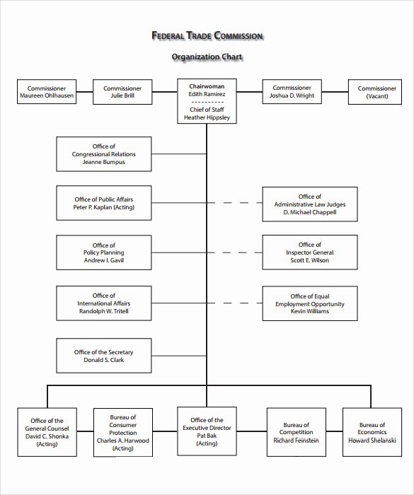 Blank organizational Chart Template Best Of Download Hume and the Enlightenment