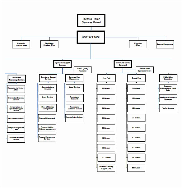 Blank organizational Chart Template Elegant Blank organizational Chart 11 Download Documents In Pdf