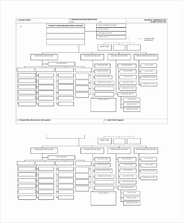 Blank organizational Chart Template Fresh Sample organizational Chart 44 Examples In Pdf Ppt Word