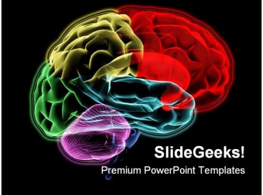Brain Power Point Templates Unique Brain Medical Powerpoint Template 0610