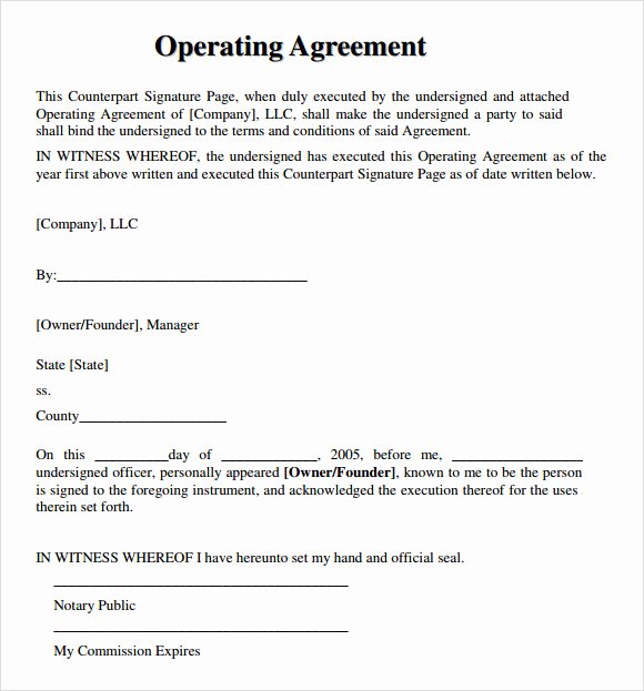 Business Operating Agreement Template Luxury Operating Agreement Samples