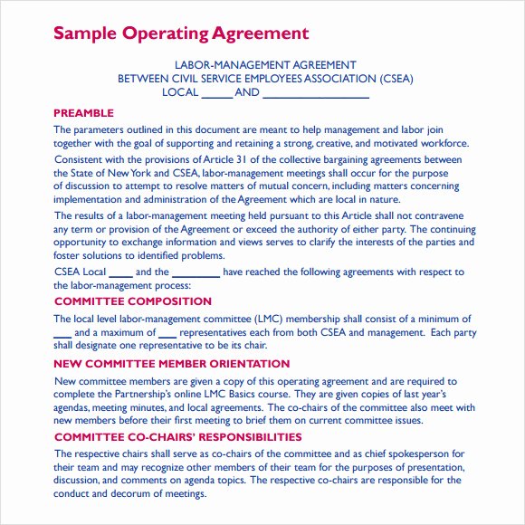Business Operating Agreement Template New 13 Sample Operating Agreements Pdf Word