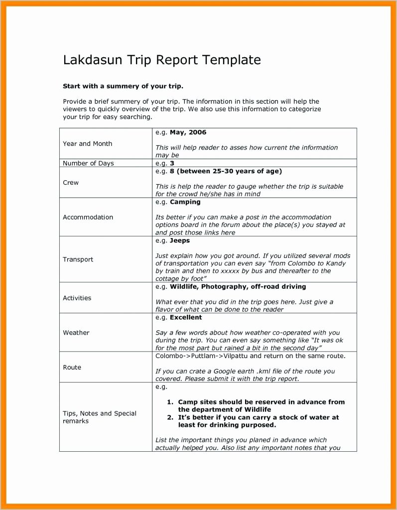 Business Report format Template Fresh 12 Business Trip Report Examples Pdf Word Apple