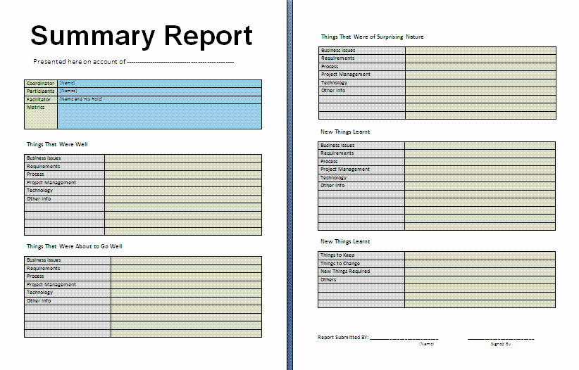 Business Report Template Word Awesome 10 Summary Report Templates