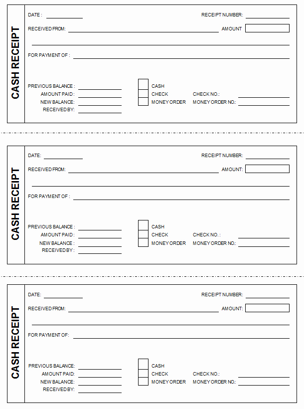 Cash Receipt Template Word Doc Lovely Cash Receipt Template formats Examples In Word Excel