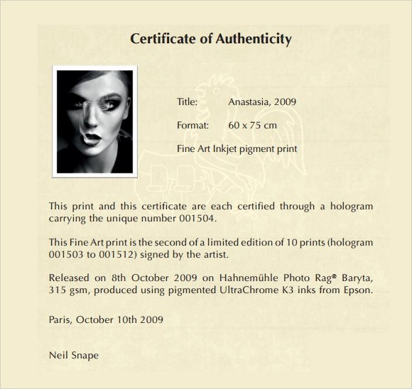 Certificate Of Authenticity Artwork Template New 45 Sample Certificate Of Authenticity Templates In Pdf