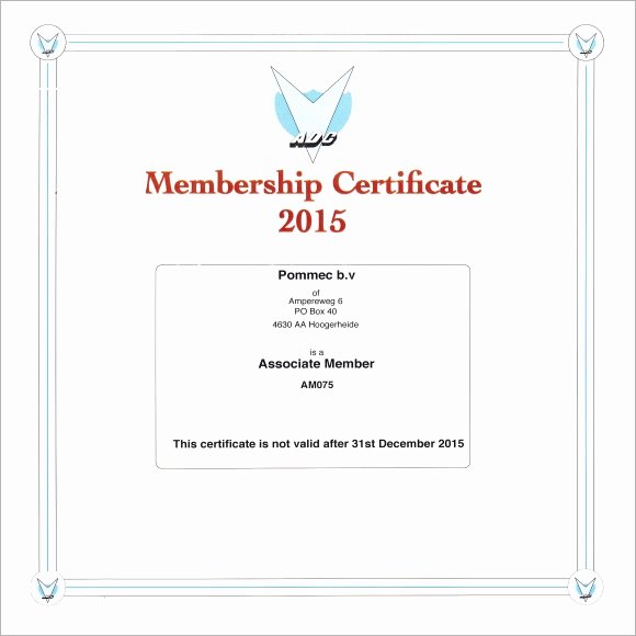 Certificate Of Membership Template Unique Sample Membership Certificate 13 Documents In Pdf Psd