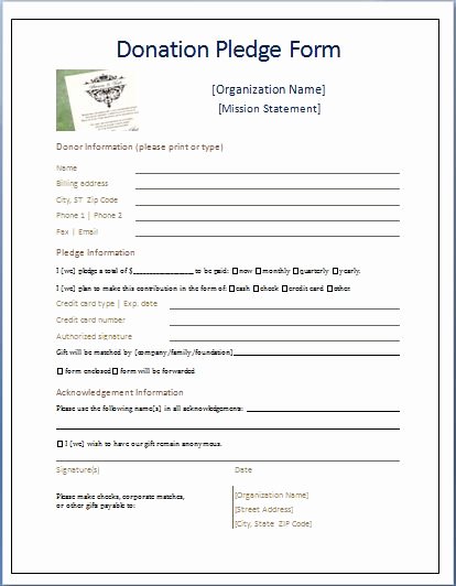 Charitable Donation form Template Awesome Sample Donation Pledge form