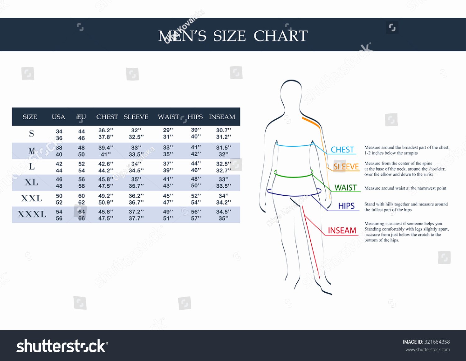 Clothing Size Chart Template Luxury Size Chart Men Measurements Clothing Male Stock Vector