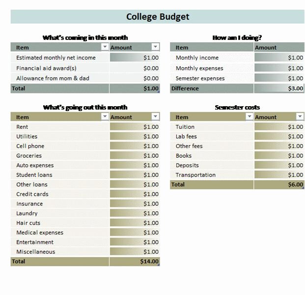College Student Budget Template Beautiful College Student Bud Templates Fice