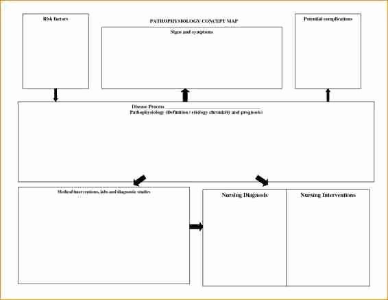 Concept Map Template Free Lovely 12 Nursing Concept Map Template