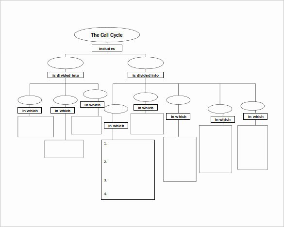 Concept Map Template Free Lovely 45 Printable Concept Map Templates Word Pdf Doc Free