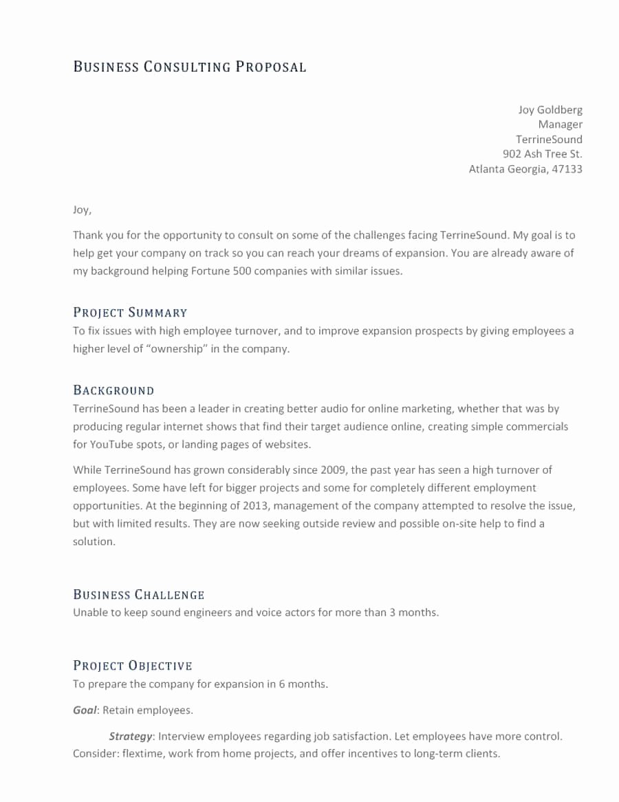 Consulting Proposal Template Word Luxury 39 Best Consulting Proposal Templates [free] Template Lab