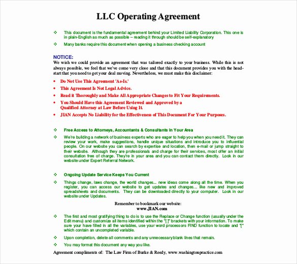 Corporation Operating Agreement Template Beautiful Operating Agreement Template 12 Free Word Pdf Document