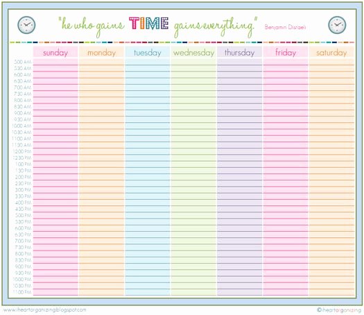 Daily Hourly Schedule Template Awesome Printable Daily Schedule