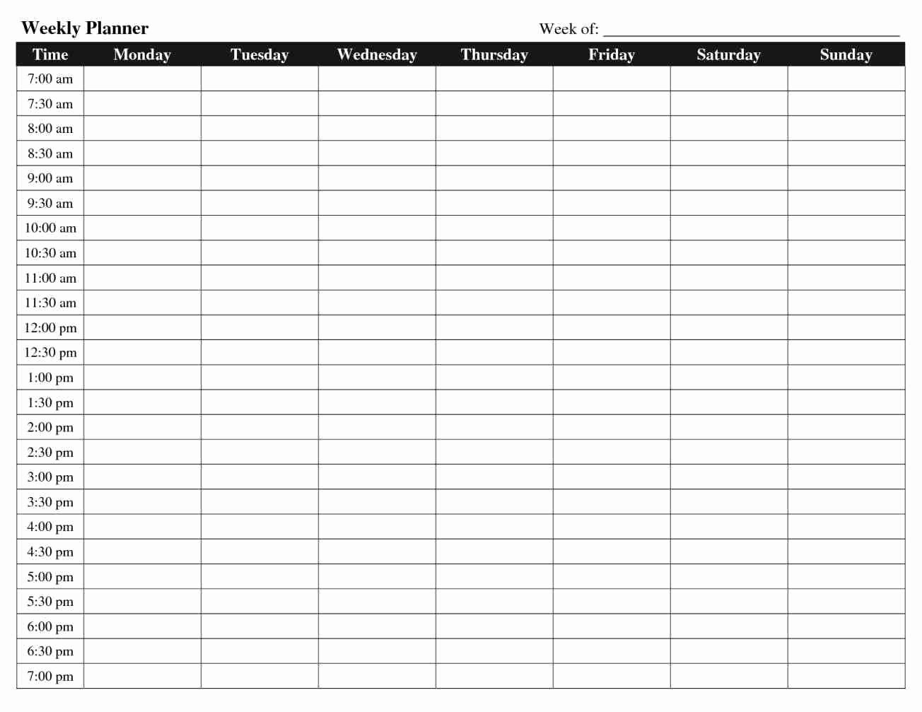 Daily Hourly Schedule Template Lovely Hourly Schedule Template