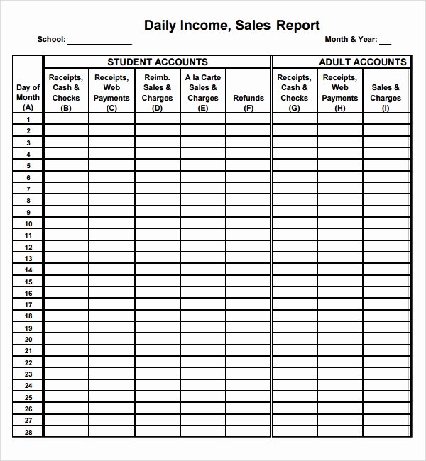 Daily Report Template Excel Awesome Daily Sales Report Template