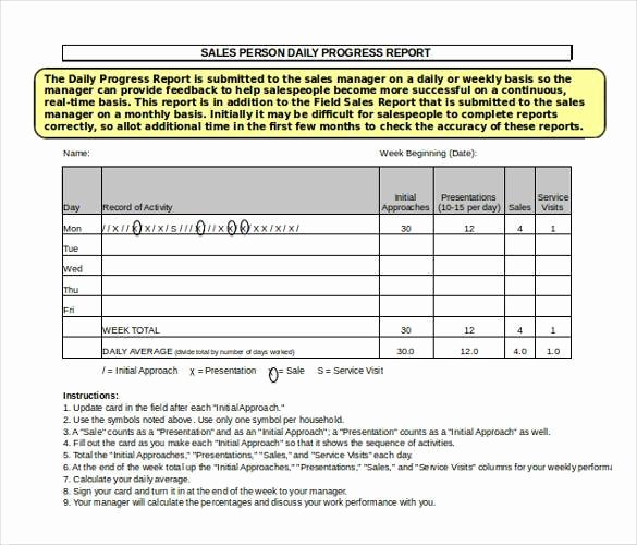Daily Report Template Excel Unique 64 Daily Report Templates Word Pdf Excel Google Docs