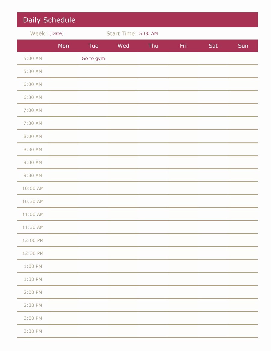 Daily Schedule Template Free Lovely 47 Printable Daily Planner Templates Free In Word Excel Pdf