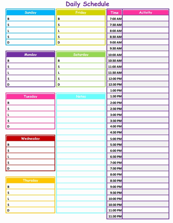 Daily Schedule Template Printable Luxury 1 2 3 Neat &amp; Tidy Daily Schedule Free Printable