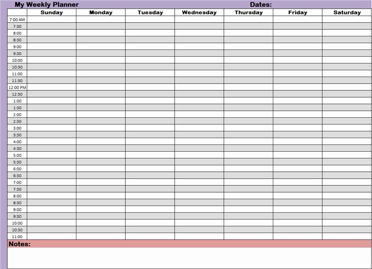 Daily Time Management Template New Weekly Hourly Time Management Sheet Financial